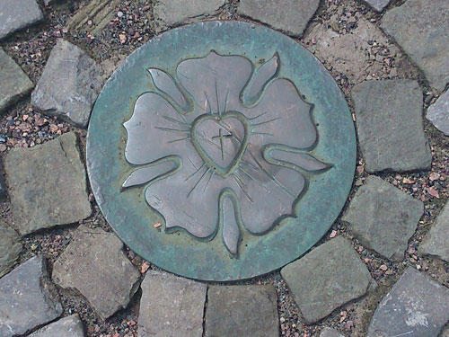 Lutherrose Wittenberg