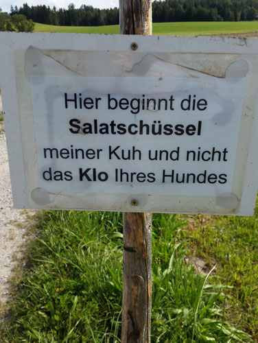 der Salat meiner Kuh